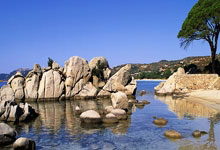 海星体育-包含赛后菲尼克斯太阳备战足总杯，状态回暖细节曝光，悬念犹存，控场能力受关注的词条