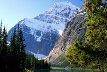 海星赛事-罗马训练开放日，今夜防线松动引欢呼，欧篮联在即，轮换策略成焦点的简单介绍